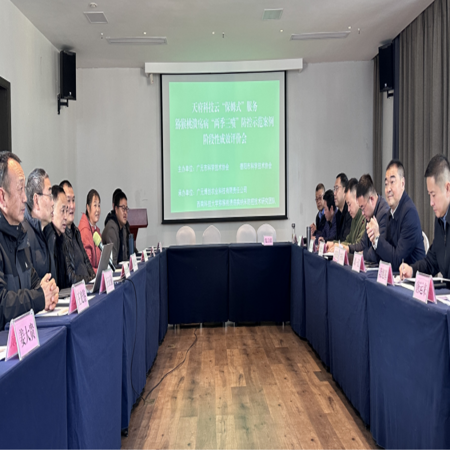 截图录屏_选择区域_20241219172856.png