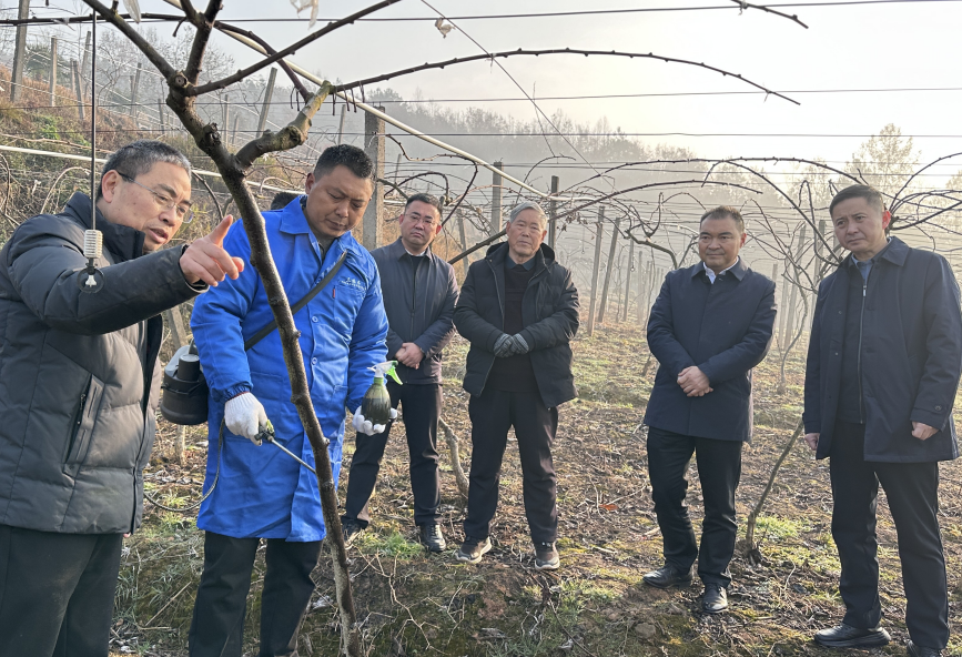 截图录屏_选择区域_20241219172924.png