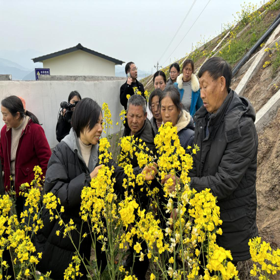 图片5.png