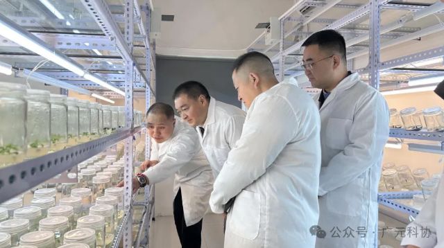 截图录屏_选择区域_20250401103837.png