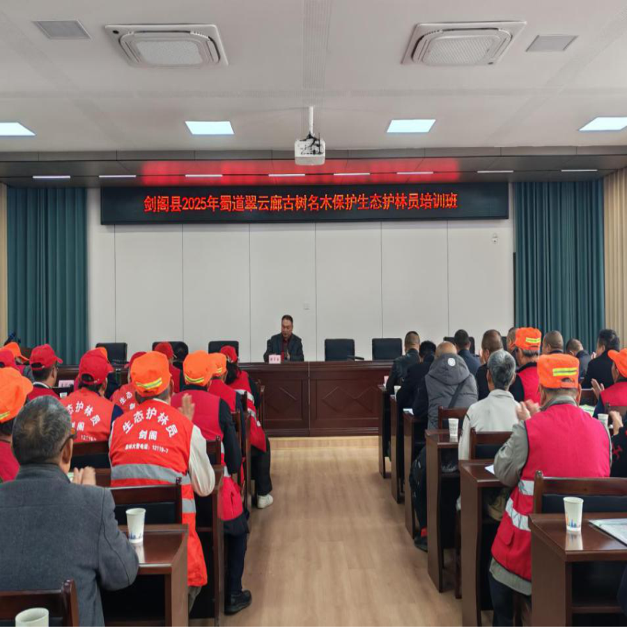 图片22.png