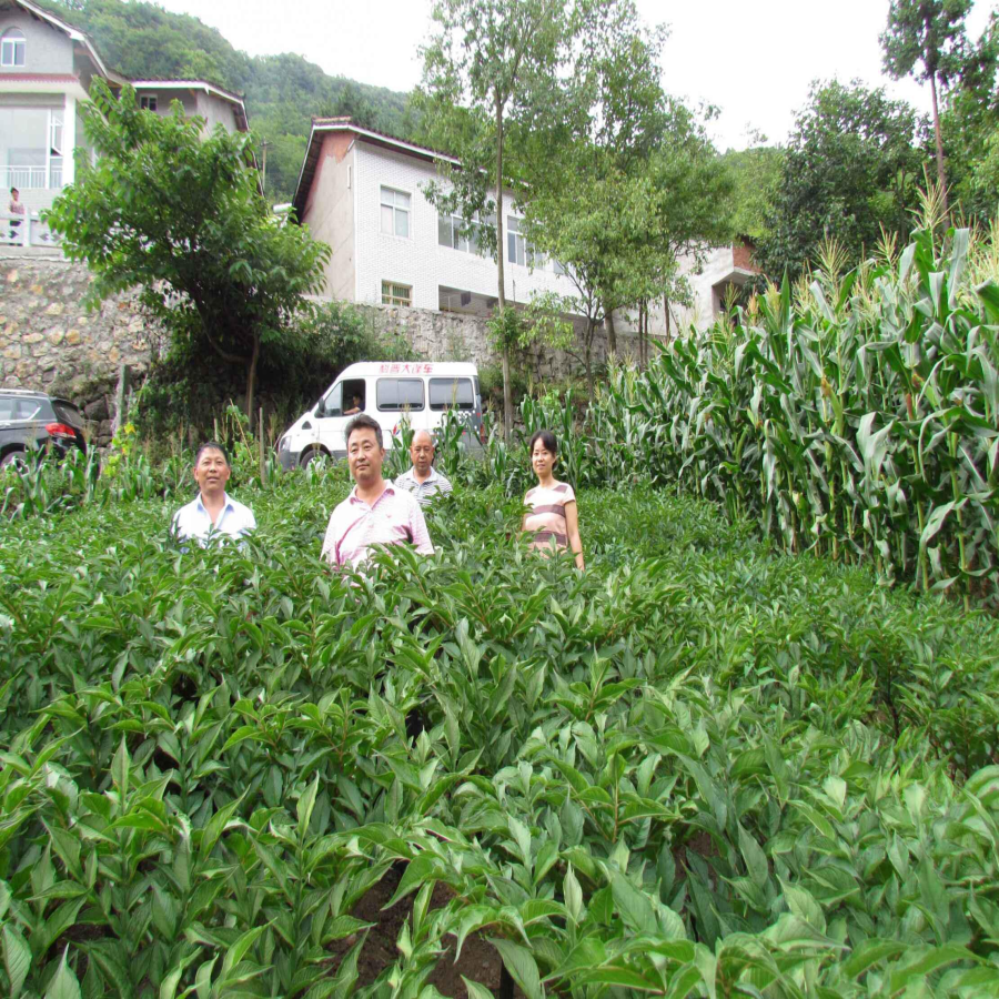 C:Documents and SettingsAdministrator桌面图片2.jpg C:Documents and SettingsAdministrator桌面图片2.jpg